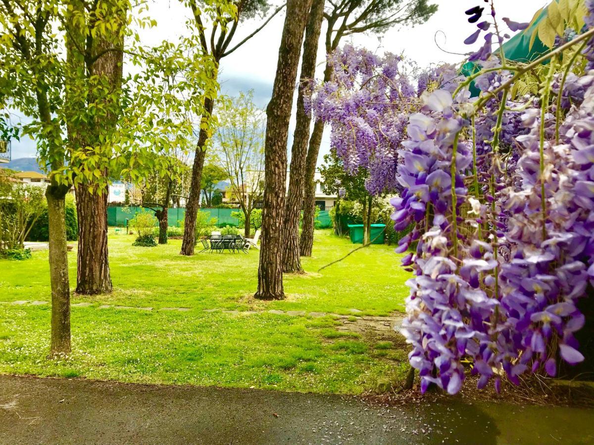 Cantagrillo Bed&Breakfast Benedetta المظهر الخارجي الصورة